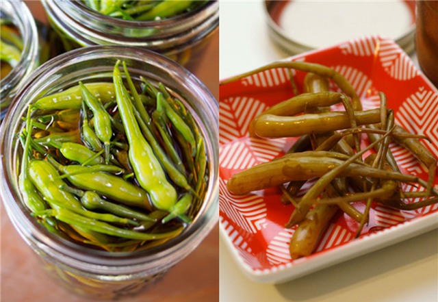 la lung cu cai duoi chuot