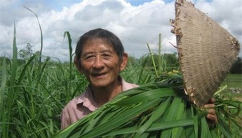 Anh hùng lao động Hồ Giáo qua đời