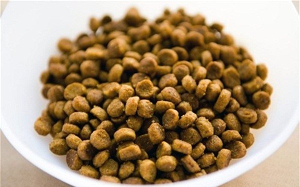 Chất gây dị ứng