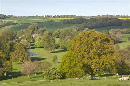 “dot nhap” can biet thu tri gia 27 trieu bang cua gia dinh beckham hinh anh 14