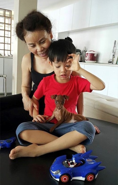Hồ Ngọc Hà, Hà hồ, vietnamnet