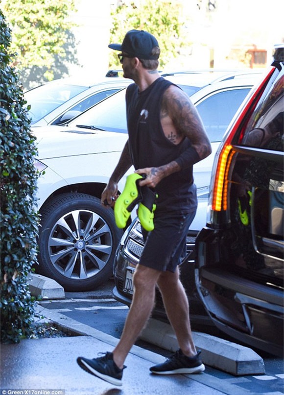 Vợ chồng Becks né tránh truyền thông 7