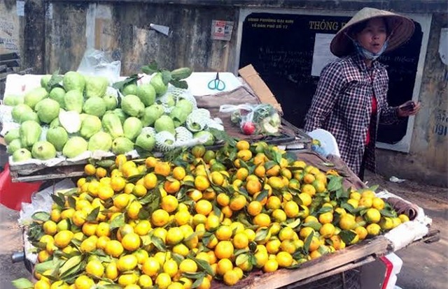 Quýt Trung Quốc, quýt siêu ngọt, Tân Thanh, nhập khẩu, giá rẻ, quýt-Trung-Quốc, quýt-siêu-ngọt, Tân-Thanh, nhập-về-Việt-Nam, nhập-khẩu, giá-rẻ