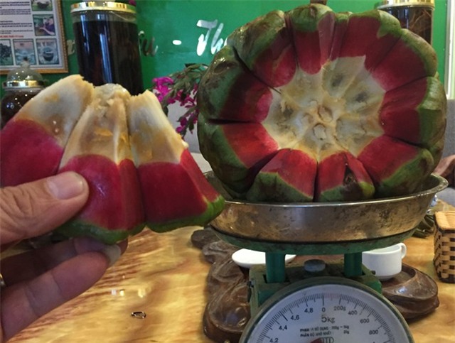 Vì sao quả na rừng 5 kg có giá 500.000 đồng?