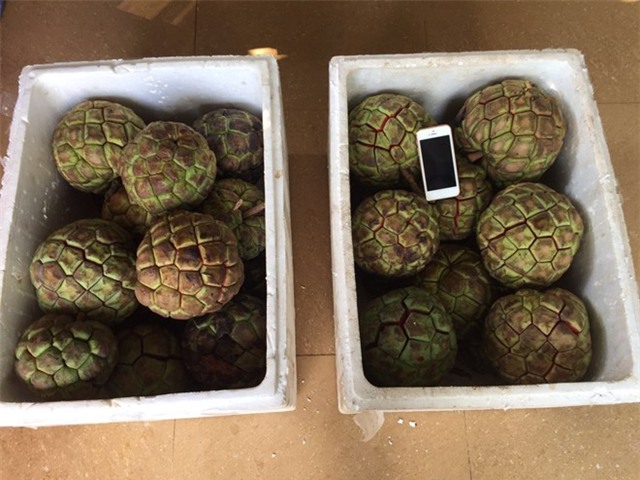 Vì sao quả na rừng 5 kg có giá 500.000 đồng?