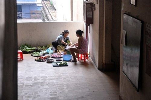 hop cho sam uat giua hanh lang chung cu o tp.hcm hinh anh 10