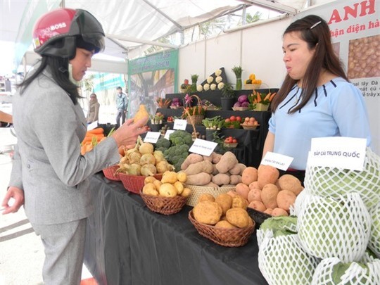 Người dân đang được tư vấn cách nhận biết khoai tây Trung Quốc và khoai tây Đà Lạt.