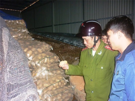 Hơn 26 tấn khoai tây Trung Quốc có dư lượng thuốc BVTV vượt ngưỡng 16 lần cho phép bị cơ quan chức ăng Đà Lạt tịch thu năm 2013.