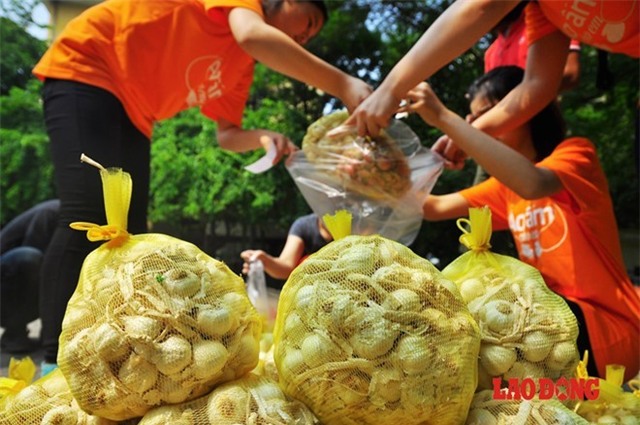 Chung tay ủng hộ mua hành, tỏi cho bà con nông dân đảo Lý Sơn tại Hà Nội.