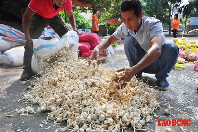 Anh Thắm chia sẻ, mục đích của anh và những người bạn khi đưa hành, tỏi ở Lý Sơn về Thủ đô Hà Nội bán nhằm xóa bỏ vấn nạn trừ bì; kích cầu đối với hành, tỏi Lý Sơn; tìm thị trường mang tính bền vững và đem lại hình ảnh của Lý Sơn và người dân Lý Sơn đến với mọi miền đất nước.