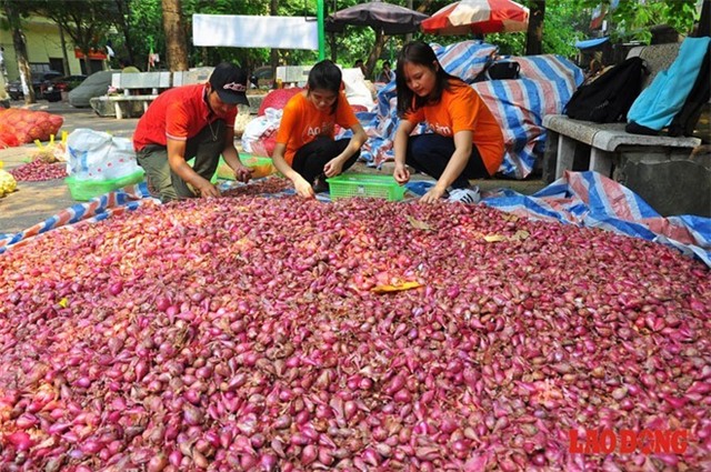 Để thực hiện, anh Thắm cùng với những người bạn đã tổ chức một chương trình thiện nguyện phi thương mại có tên gọi: Ủng hộ nông dân Lý Sơn - bảo vệ thương hiệu hành, tỏi - xóa bỏ lệ trừ bì