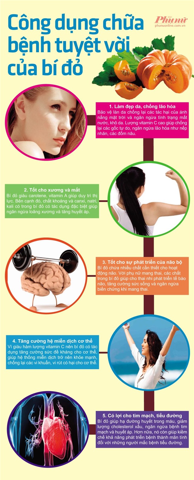 Cong dung chua benh tuyet voi cua bi do