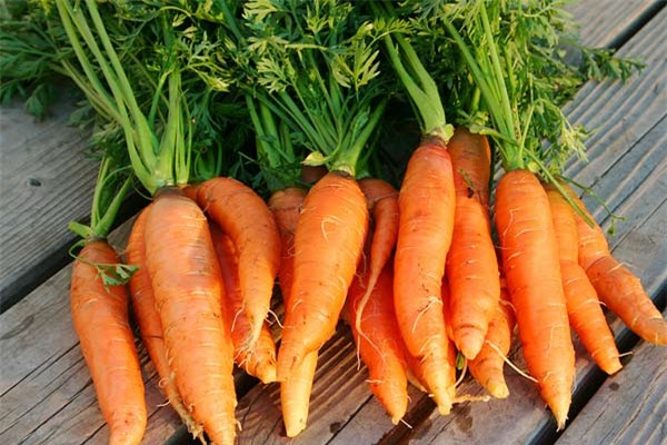 cà rốt, súp lơ, cải bó xôi, nấm đông cô