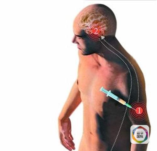 thiến, Indonesia, công tố