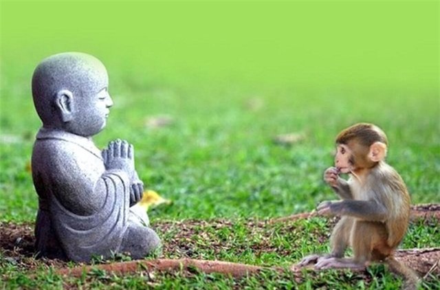 hạnh phúc, ghen tị, lười nhác, thương hại, rắc rối