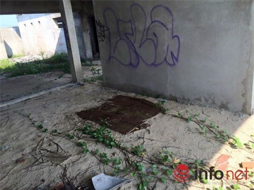 resort tram ty bo hoang hang km tren bo bien hinh anh 3