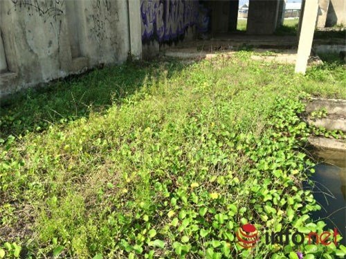 resort tram ty bo hoang hang km tren bo bien hinh anh 6