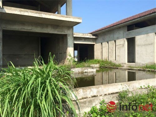 resort tram ty bo hoang hang km tren bo bien hinh anh 9