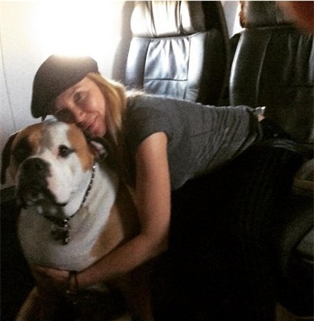 my: cho beo nang 74kg ngoi khoang hang nhat may bay hinh anh 2