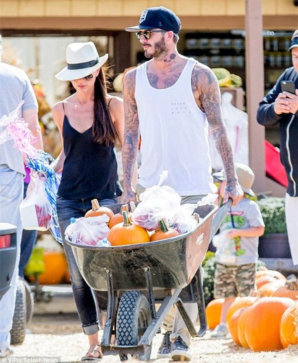 2DDEBDB300000578-3293611-image-a-14_1446044524942-1e0b7