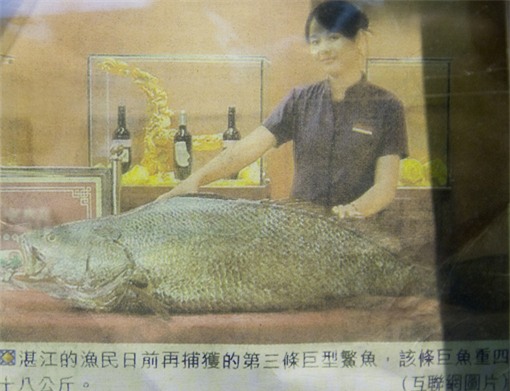 Nông dân, Thái Bình, cá khủng