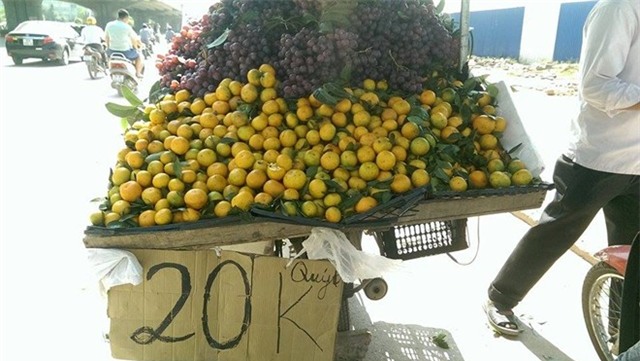 Quýt Trung Quốc rẻ bằng 1/4 quýt Việt đổ bộ Hà Nội