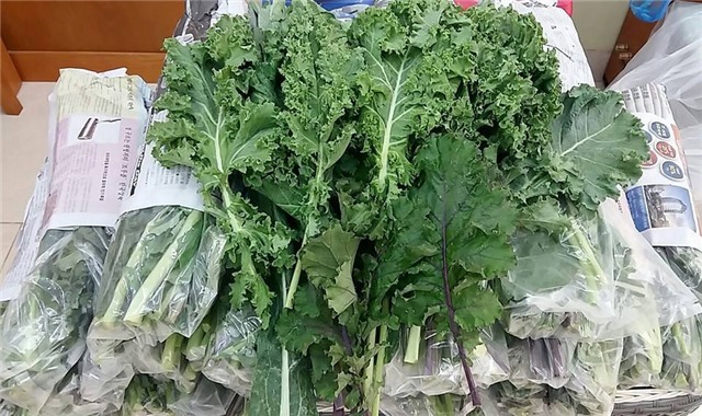 rau hữu cơ, rau sạch, sang chảnh, nhà giàu Việt, rau xanh, đắt đỏ, đặt trước, rau-hữu-cơ, rau-sạch, sang-chảnh, nhà-giàu-Việt, rau-xanh, đắt-đỏ, đặt-trước