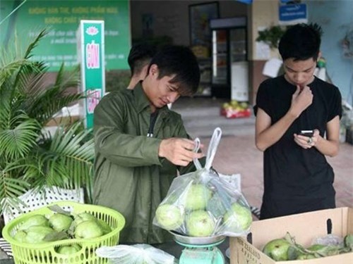 Khi showbiz Việt bị biến thành… cái chợ! - ảnh 1