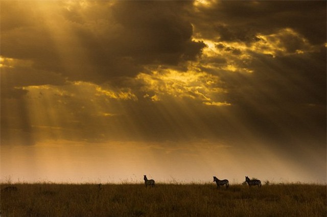 nhung buc anh tuyet my ve thien nhien the gioi hinh anh 17