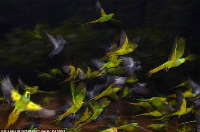 nhung buc anh tuyet my ve thien nhien the gioi hinh anh 18