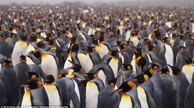 nhung buc anh tuyet my ve thien nhien the gioi hinh anh 5