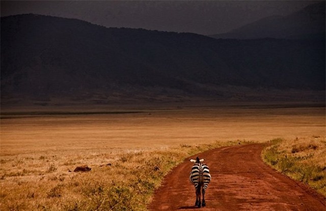 nhung buc anh tuyet my ve thien nhien the gioi hinh anh 8