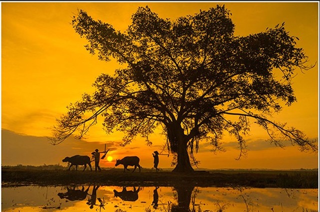 Cảnh thiên nhiên tuyệt đẹp ở 3 miền đất nước