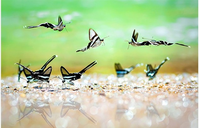 Cảnh thiên nhiên tuyệt đẹp ở 3 miền đất nước