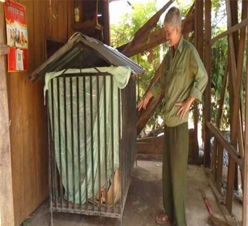 phạt con, mẹ Việt, mẹ Tây, phạm lỗi