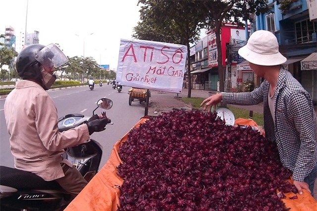 Cây bụi vùng quê thành 'thần dược' trên phố Sài Gòn