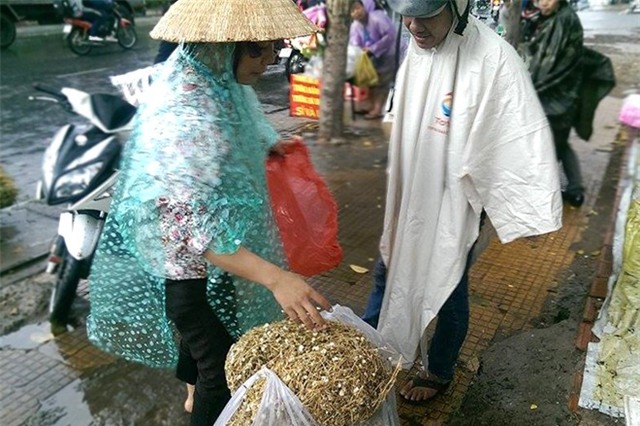 Cây bụi vùng quê thành 'thần dược' trên phố Sài Gòn