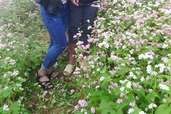 12205074_10206786088787524_978152787_n-e5e2f