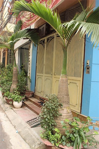 Vườn rau mini, Hà Nội