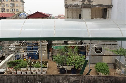 Vườn rau mini, Hà Nội