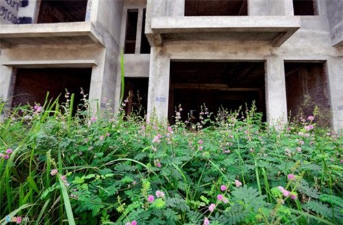 nhung khu do thi nghin ty moc reu vang bong nguoi hinh anh 3