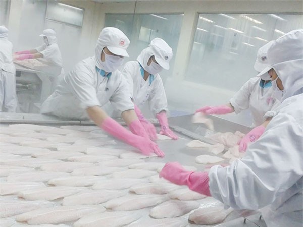 Các mặt hàng thực phẩm sản xuất tiêu thụ trong nước hay XK đều phải đáp ứng các chỉ số về đảm bảo an toàn thực phẩm theo quy định của Bộ Y tế. (