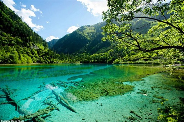 anh phong canh dep me hon o trung quoc hinh anh 11