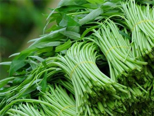 thực phẩm chứa hóa chất độc hại