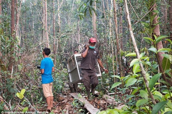 2E4E2CE900000578-3312039-image-a-58_1447166692492-4233b