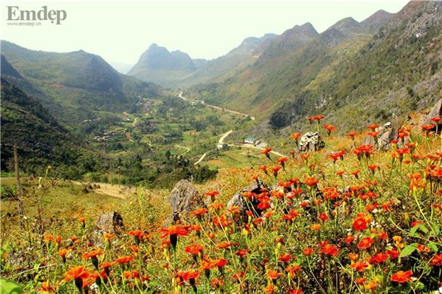 Kinh nghiệm phượt Hà Giang những ngày chớm đông