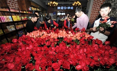 de thoat kiep f.a, chang trai chuan bi 1111 bong hoa to tinh hinh anh 4