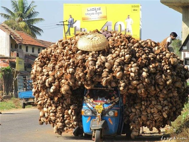 nhung buc anh