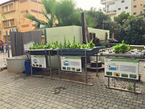 trường thực nghiệm, Israel