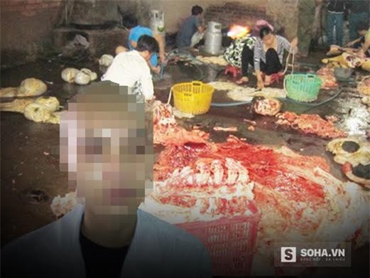 thực phẩm, chất cấm, thịt lợn, Bộ trưởng Phát, Bộ trưởng Tiến, lạnh sống lưng, thực-phẩm, chất-cấm, thịt-lợn, Bộ-trưởng Phát, Bộ-trưởng Tiến, lạnh-sống-lưng